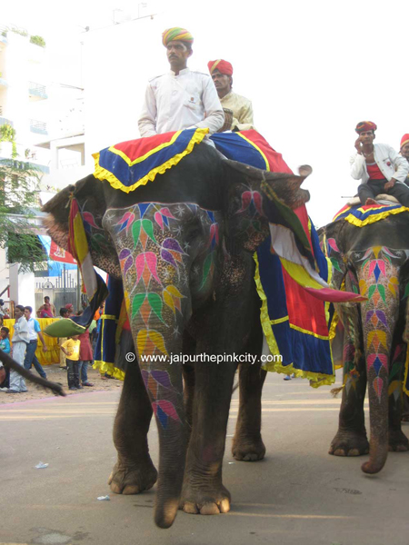 ganesh_chaturthi_jaipur_photo_decorated_elephants_jaipur