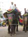 ganesh_chaturthi_jaipur_photo_decorated_elephants_jaipur