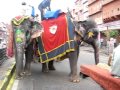 shri krishna janmashtami festival procession jaipur