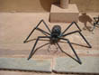 Jaipur travel - Spider sculpture of wrought iron in Amber Fort, Pink City Jaipur