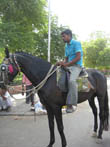 Horse%20Riding%20in%20Jaipur