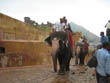 Elephant%20Riding%20in%20Jaipur