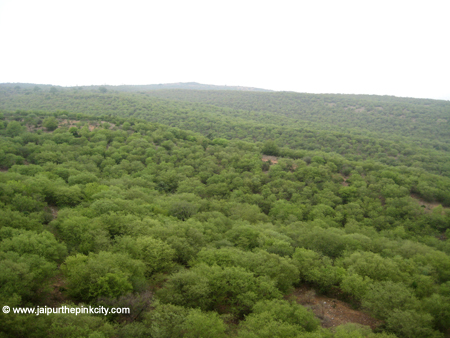 Jaipur | Jaipur Aravali Photo | Jaipur Hills Photo | Jaipur Mountains Photo