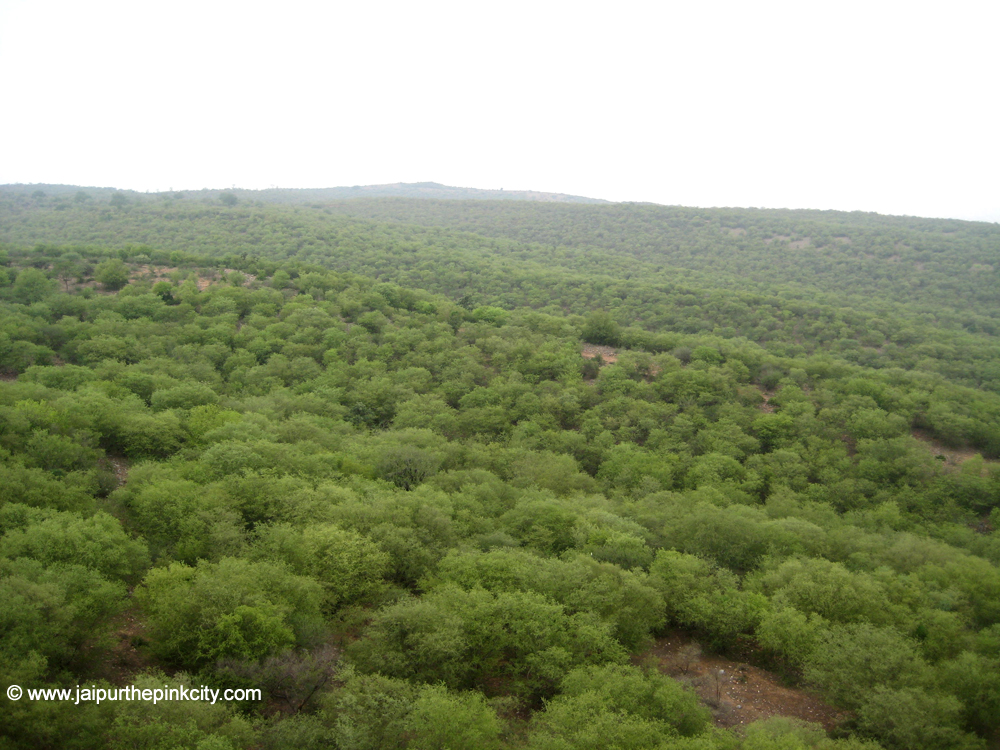 aravali hills in rajasthan Jaipur Aravali Hills Range