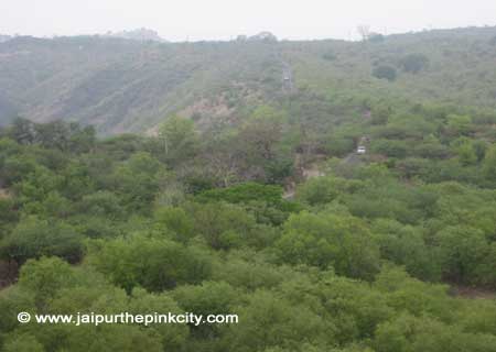 Jaipur Photos : Nature Photo