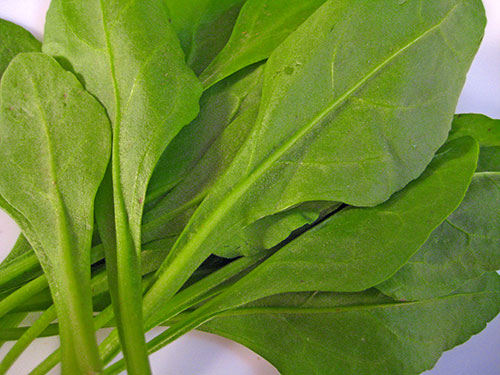 Health Benefits of Spinach In Hindi 