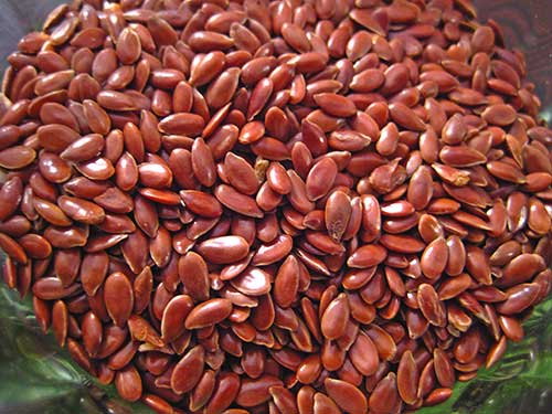 Flax Seeds Benefits In Hindi 