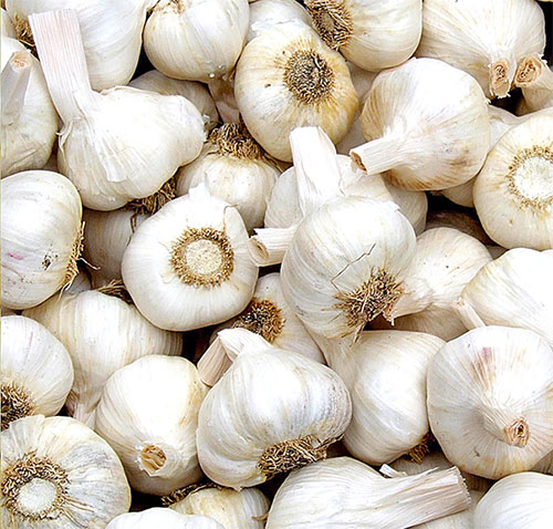 Garlic Benefits For Beauty In Hindi 