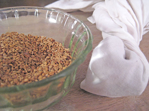 Homemade inhaler of carom seeds
