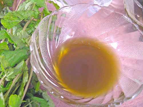Combination of mint leaves juice, water and honey