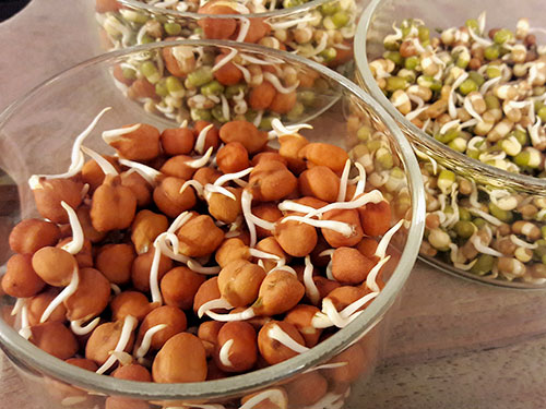 Sprouts Benefits For Health In Hindi